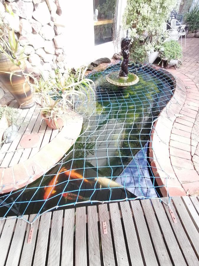 Serendipity Country House Amanzimtoti Ngoại thất bức ảnh